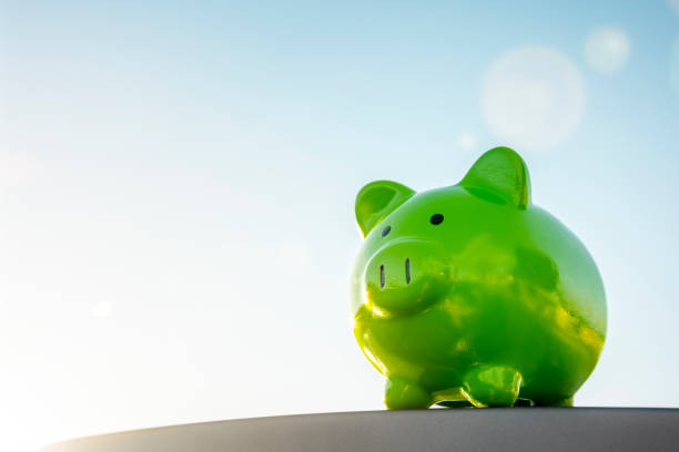 Savings Accounts